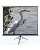 Elite Screens Tripod Series T120NWV1 Diagonal 120 ", 4:3, Viewable screen width (W) 244 cm, White