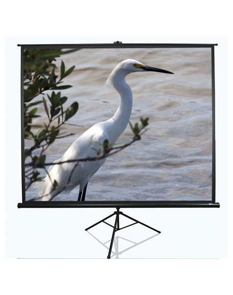 Elite Screens Tripod Series T120NWV1 Diagonal 120 ", 4:3, Viewable screen width (W) 244 cm, White