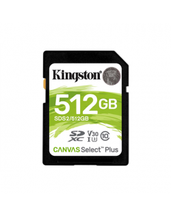 KINGSTON 256GB UHS-I SD Memory Card (Class 10)