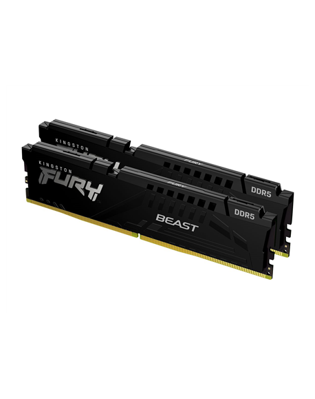 Kingston | 16 GB | DDR5 | 5600 MHz | PC/server | Registered No | ECC No