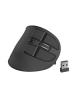 Natec Vertical Mouse Euphonie Wireless, Black, Optical