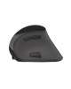 Natec Vertical Mouse Euphonie Wireless, Black, Optical