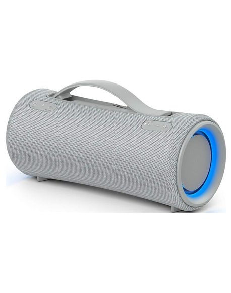 Sony XG300 X-Series Portable Wireless Speaker, Gray