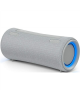 Sony XG300 X-Series Portable Wireless Speaker, Gray